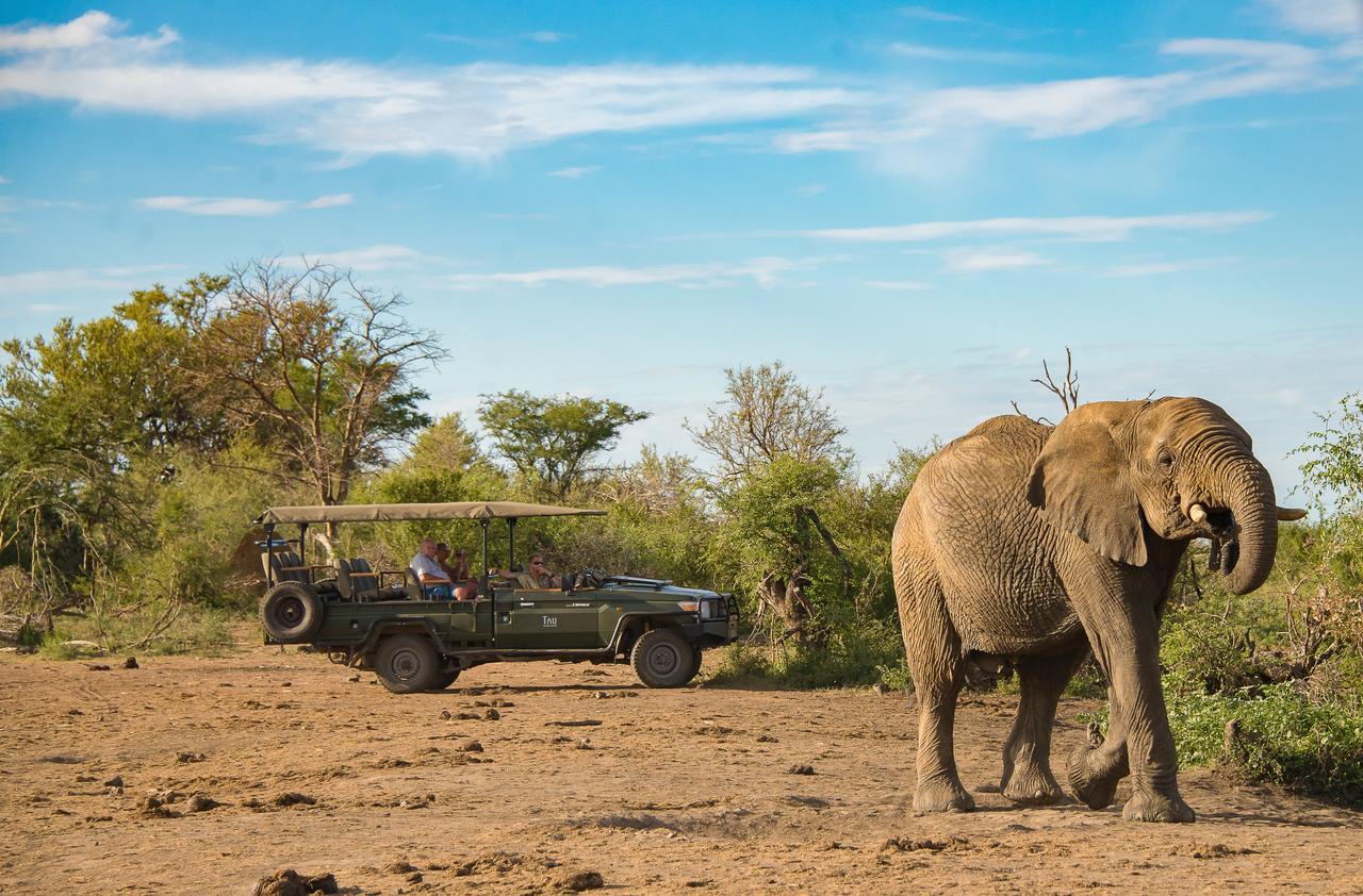 Tau Game Lodge Заповедник Мадикве Экстерьер фото